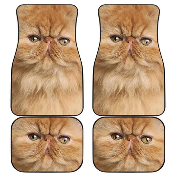 Persian Cat Car Floor Mats Funny Cat Face-Gear Wanta