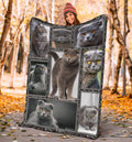 Scottish Fold Cat Fleece Blanket For Cat Lover DD20-Gear Wanta
